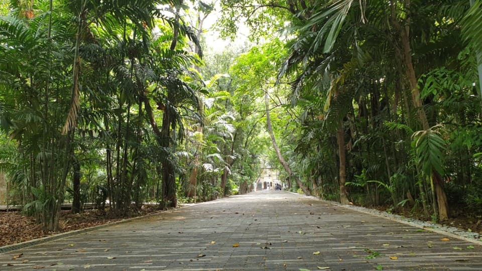 Parks and Forests in Metro Manila thumbnail